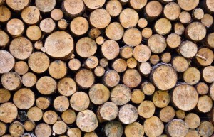 firewood-pile
